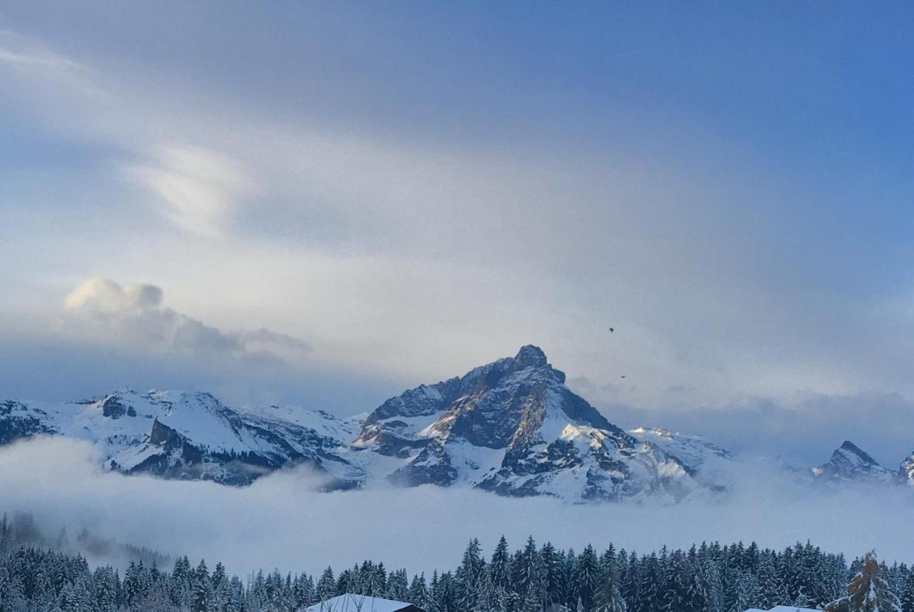 Mountain Chalet Амден Екстериор снимка