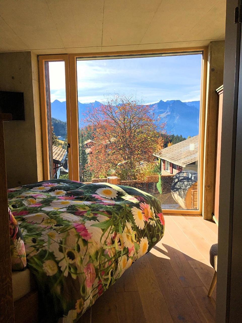 Mountain Chalet Амден Екстериор снимка